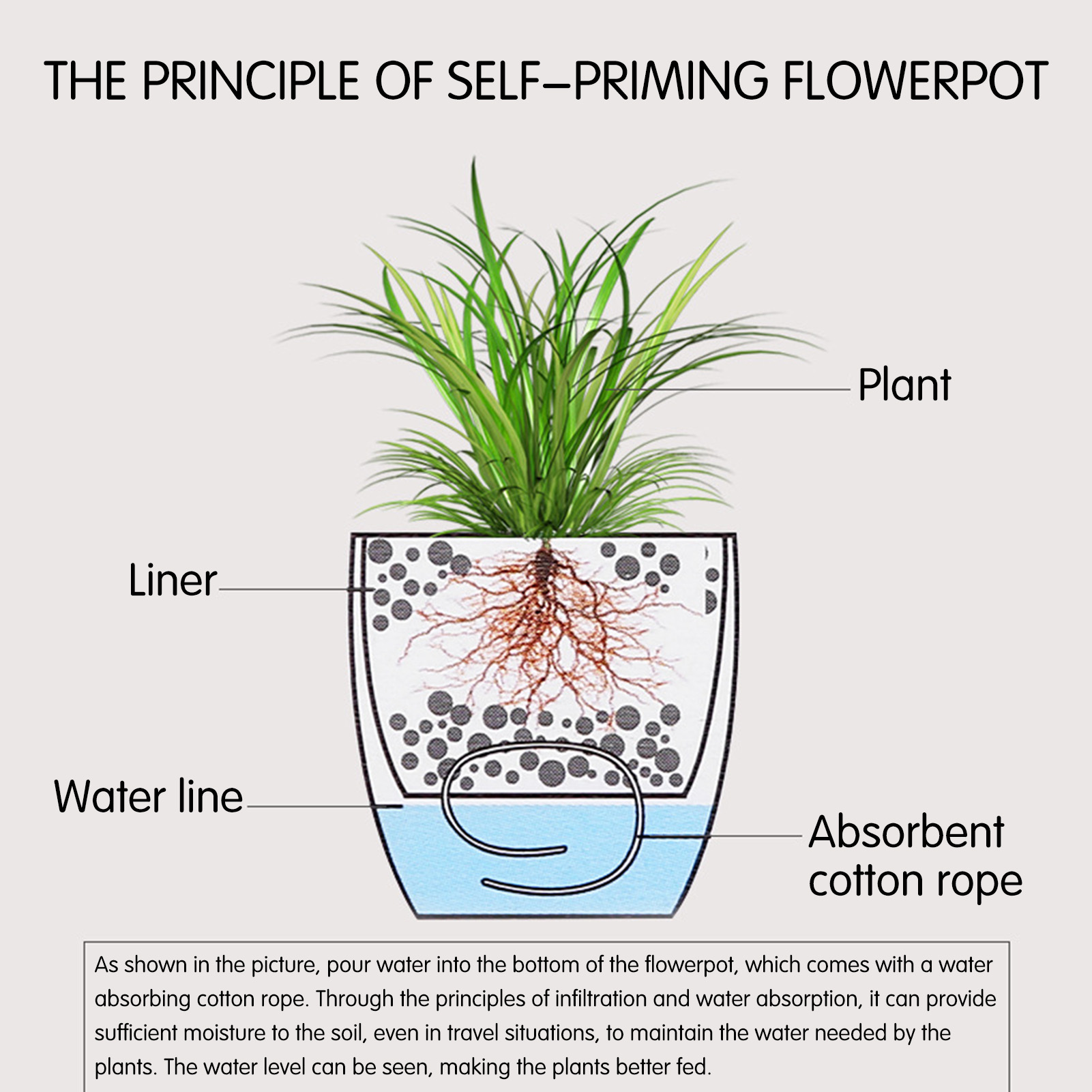 自動自己散水花植物ポット園芸フラワーポットリビングルームの装 - Aloe Vera Pot のレビューと価格