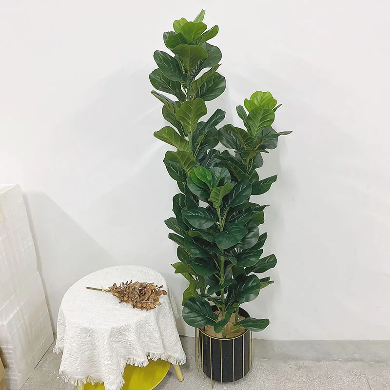 35～150cmの熱帯樹木、大型フェイクフィカス・リラータ、 - Ficus Lyrata Tree のレビューと価格