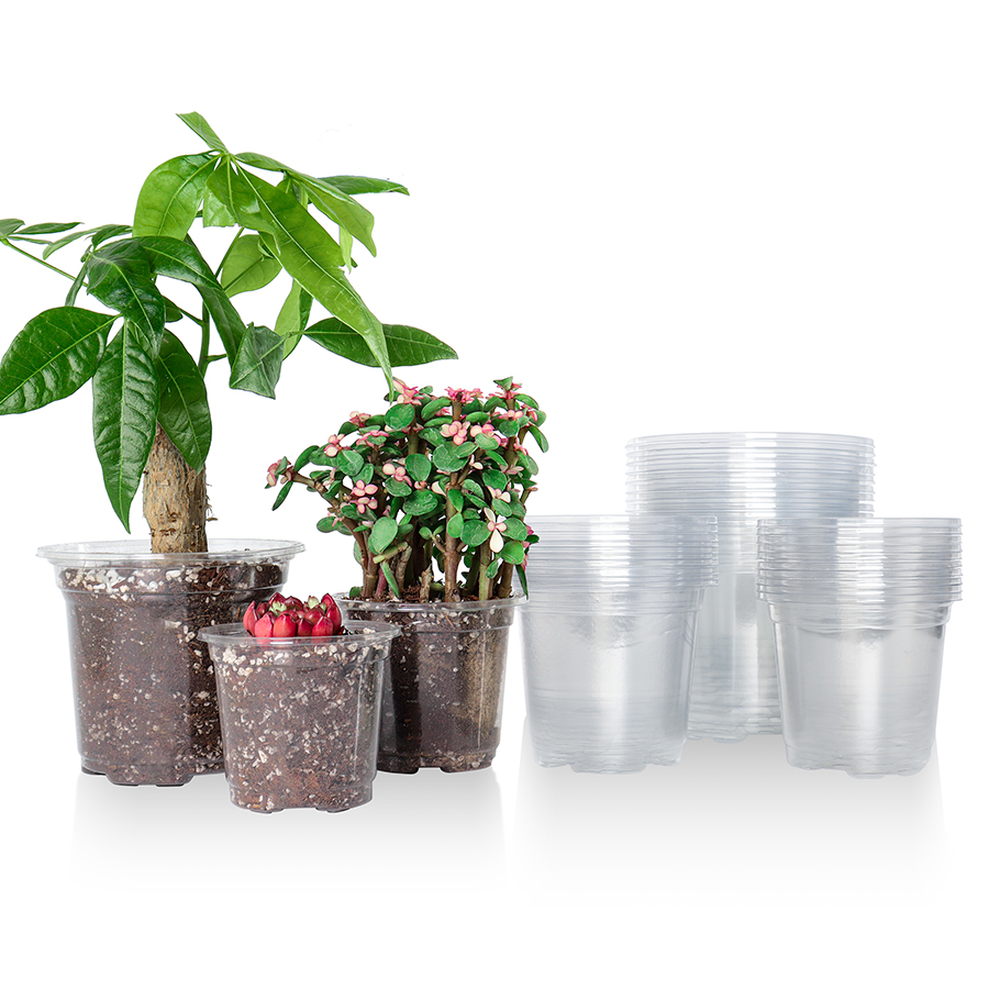 30 パック 3.5/4/5 インチクリア保育園ポット、排水 - Aloe Vera Pot のレビューと価格