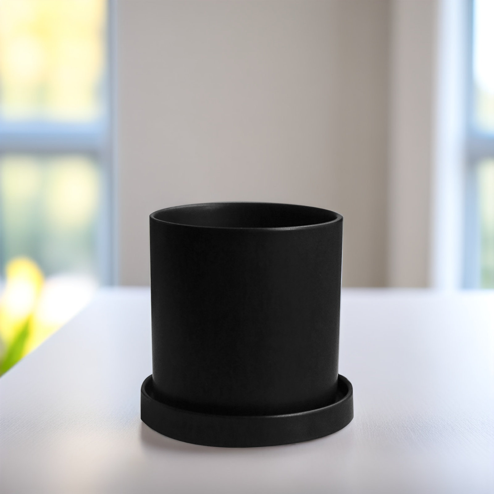 スタイリッシュなセラミック鉢とプレートのセット、室内植物、多 - Aloe Vera Pot のレビューと価格
